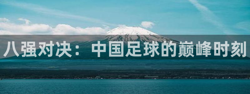 世界杯直播免费观看：八强对决：中国足球的巅峰时刻