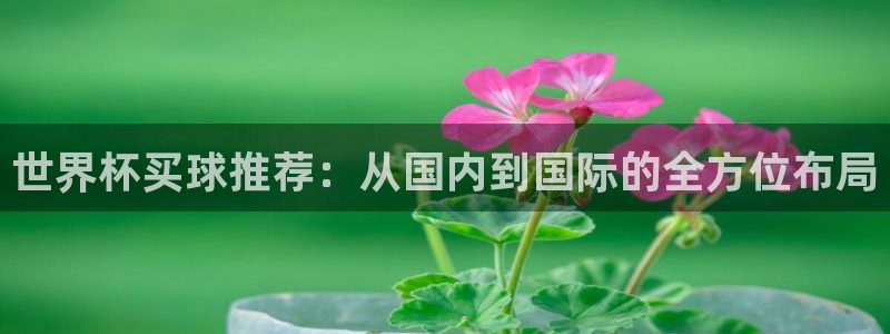 2026世界杯日期：世界杯买球推荐：从国内到国际的全方位布局
