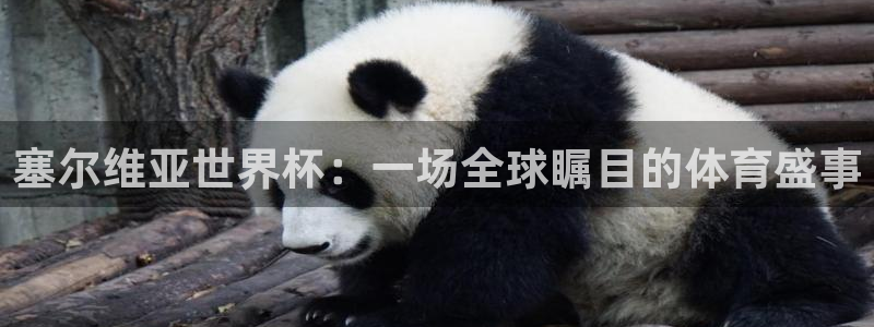 世界杯预选赛赛程时间表：塞尔维亚世界杯：一场全球瞩目的体育盛事