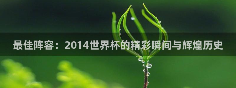 世界杯预选赛赛程：最佳阵容：2014世界杯的精彩瞬间与辉煌历史