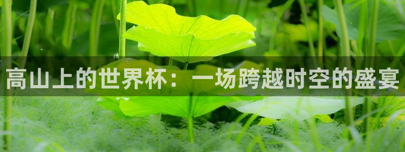 2026世界杯赛制：高山上的世界杯：一场跨越时空的盛宴