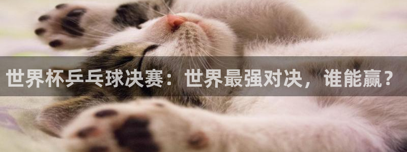 今天所有足球赛程表：世界杯乒乓球决赛：世界最强对决，谁能赢？