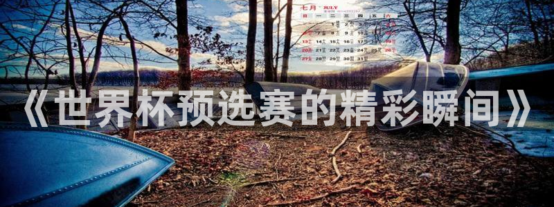 世界杯直播网站：《世界杯预选赛的精彩瞬间》