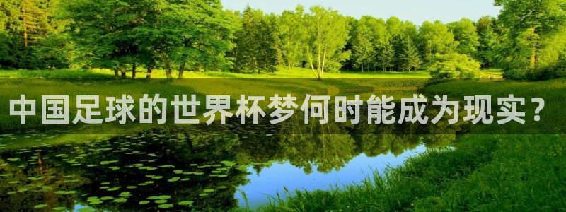 欧洲世界杯预选赛：中国足球的世界杯梦何时能成为现实？