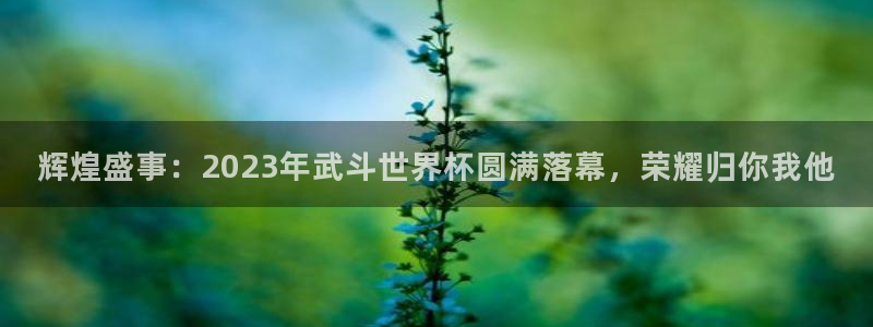 2026年世界杯赛程表时间：辉煌盛事：2023年武斗世界杯圆满落幕，荣耀归你我他