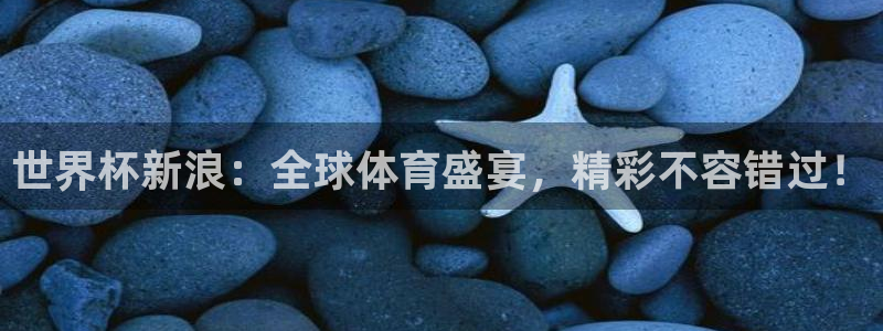 世界杯欧洲区世预赛赛程：世界杯新浪：全球体育盛宴，精彩不容错过！