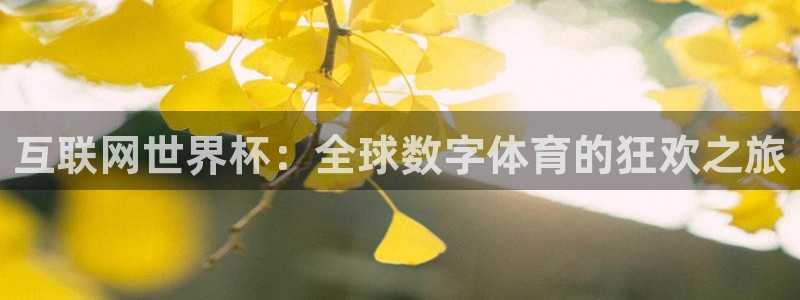 世界杯足球赛2026赛程时间：互联网世界杯：全球数字体育的狂欢之旅