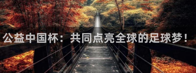 世界杯预选赛赛程：公益中国杯：共同点亮全球的足球梦！