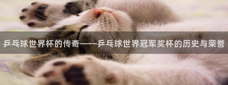 女足世界杯赛程：乒乓球世界杯的传奇——乒乓球世界冠军奖杯的历史与荣誉