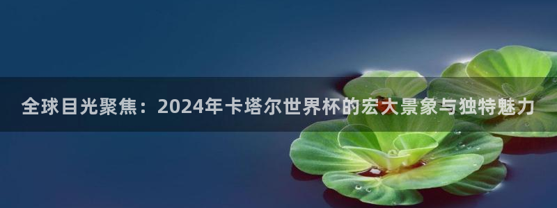 2026世预赛赛程：全球目光聚焦：2024年卡塔尔世界杯的宏大景象与独特魅力