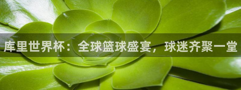 欧洲世界杯预选赛赛程：库里世界杯：全球篮球盛宴，球迷齐聚一堂
