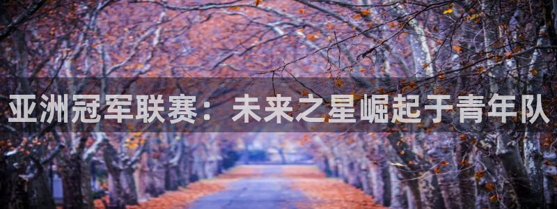 世界杯直播时间：亚洲冠军联赛：未来之星崛起于青年队